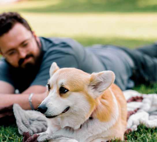 a man and a dog laying on a blanket in the grass at Nook at Northaven Apartments, Washington, 98125