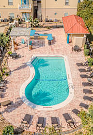 An aerial view of a pool surrounded by a patio and trees.