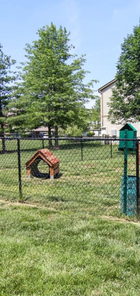 a dog park with a bench and a chain link fence