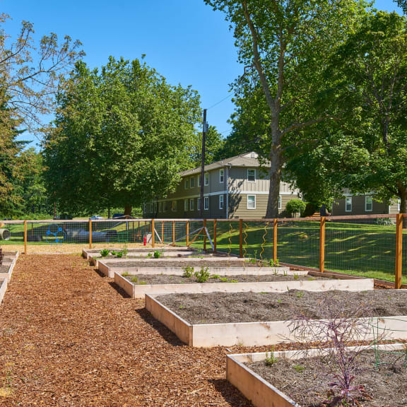 large outdoor garden for fruits and vegetables