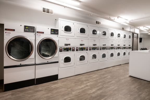 a row of washers and dryers in a laundry room