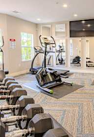 A well-equipped gym with a variety of exercise machines and weights.