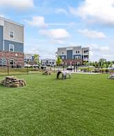 dog park with green grass and a fence