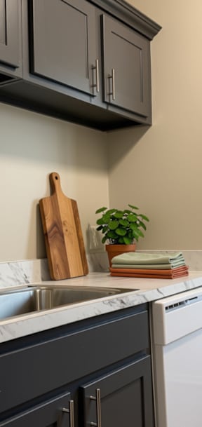 A kitchen with a white sink and a white dishwasher.