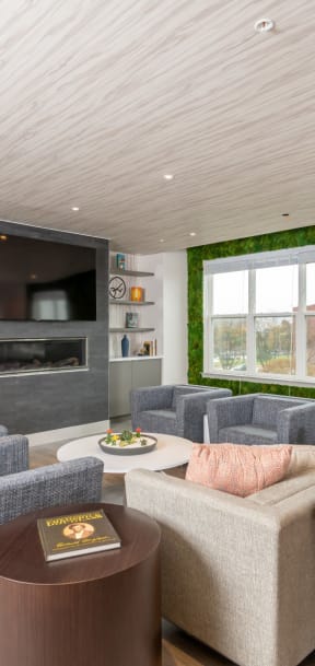 Zen Apartments Clubhouse Lounge