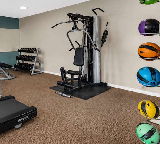 A gym with treadmills, exercise bikes, and weights.