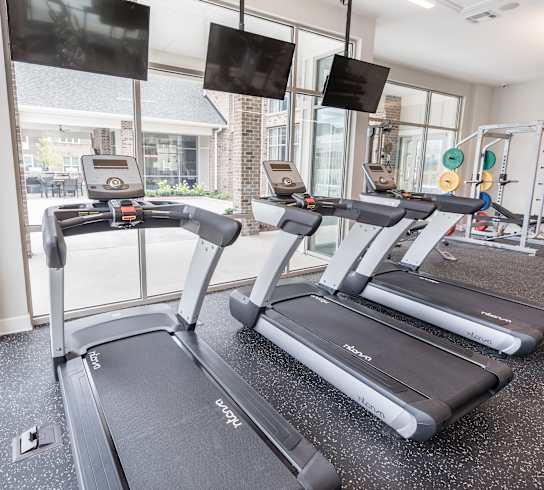 A gym with treadmills and exercise equipment.