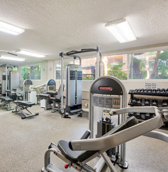 a gym with cardio equipment and weights on the floor
