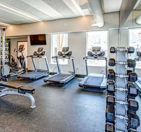 A gym with treadmills, weight racks and a squat rack.