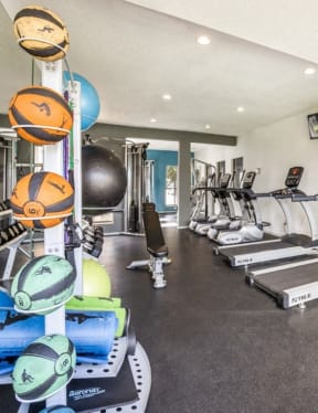 the gym has plenty of cardio equipment and large windows