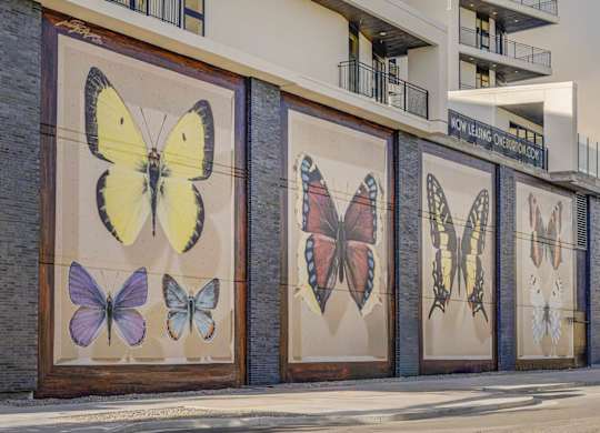 A building with a mural of butterflies on its side.