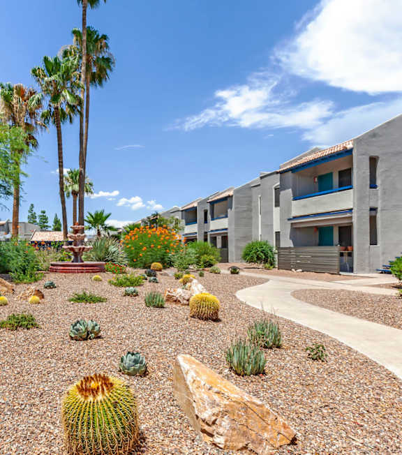 Entrance of Legacy Brooks with Comfortable Seating A desert landscape with a cactus and a path.