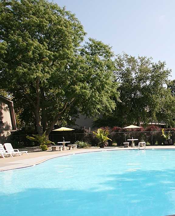 The poolside area at Eden West Apartments, featuring lounge chairs and a building in the background.