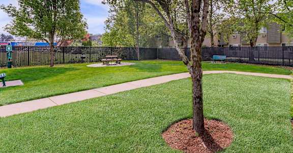 a grassy area with a tree in the middle of it