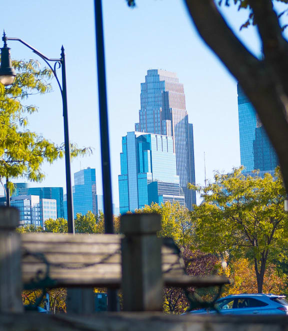 a view of the city skyline from a park