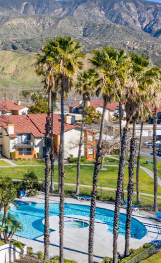A pool surrounded by palm trees and houses.