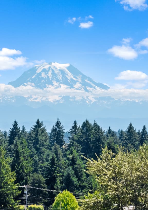 a view of a mountain over a forest of trees