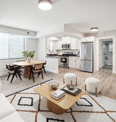 a living room with two couches and a rug and a dining room table