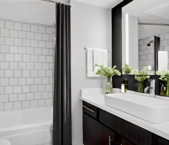 a bathroom with a sink and a shower and a bath tub