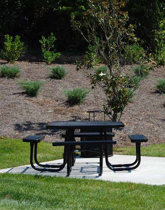A black picnic table is in the middle of a grassy area with a mailbox to the right.