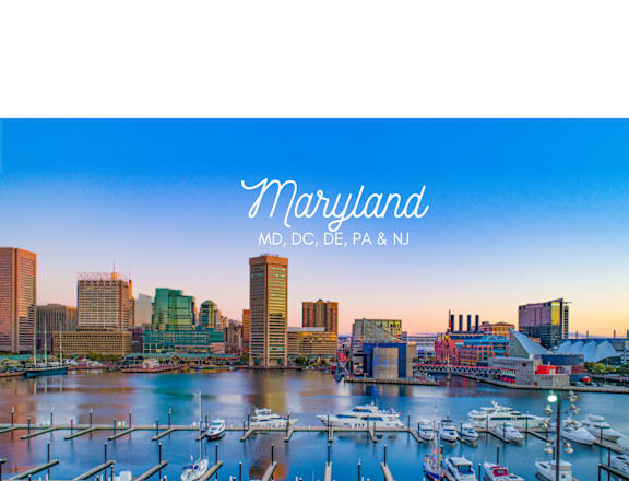 a cityscape of the harbor with boats and the city skyline
