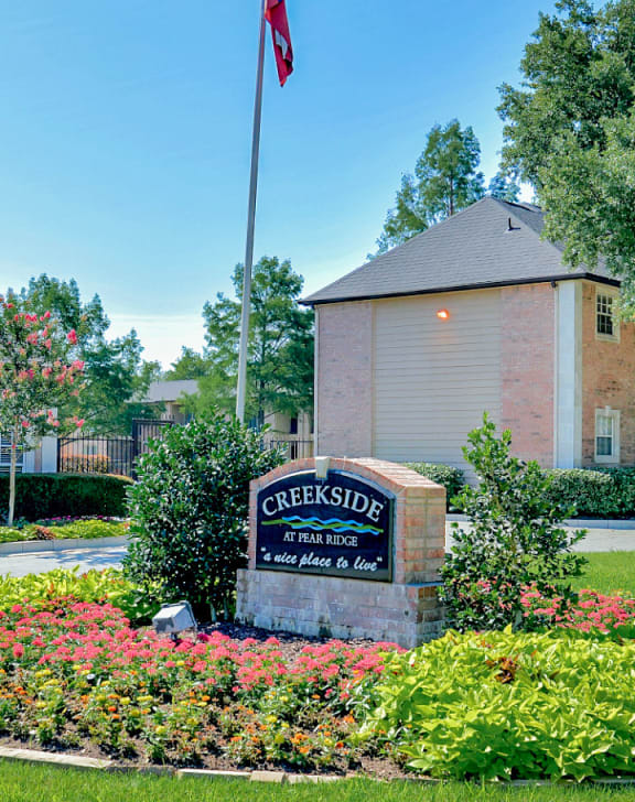 the preserve at ballantyne commons community entrance flags
