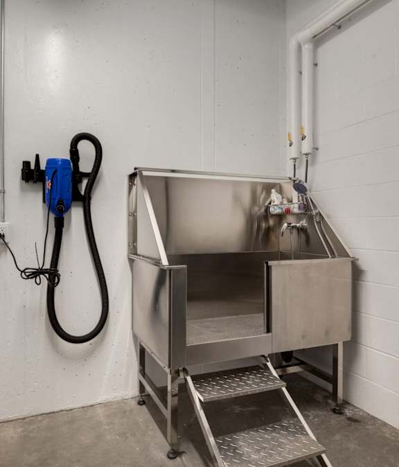 A red plunger is leaning against a white wall next to a blue and black vacuum cleaner.