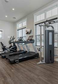 A set of dumbbells are lined up on a rack.
