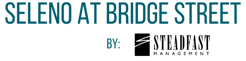 Community Logo at Seleno at Bridge Street, Huntsville, Alabama