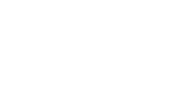 USA Logo