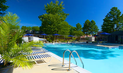 a large swimming pool with trees in the background