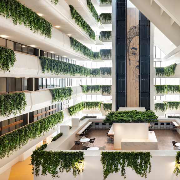 A modern atrium with a large open space and green plants hanging from the ceiling.