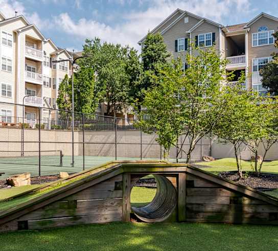 Onsite Dog Park at Willowest in Vinings Apartments in Atlanta, GA 30339