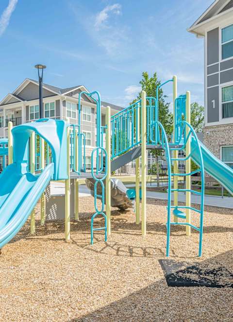 A playground with a blue slide and a yellow ladder.