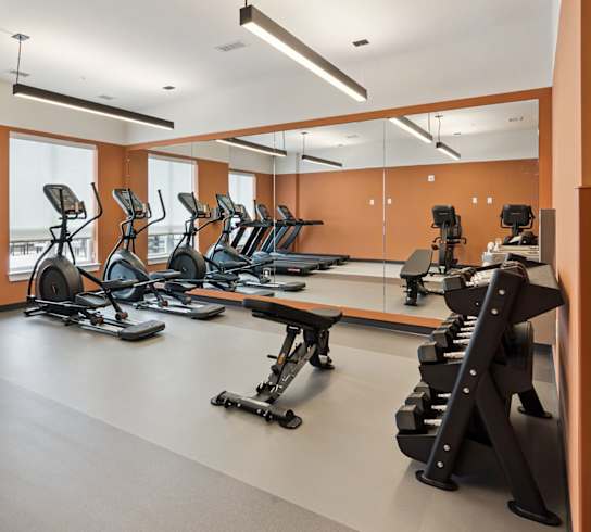 A gym with treadmills, exercise bikes, and other equipment.