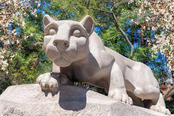 Nittany Lion photo Penn State Student Housing