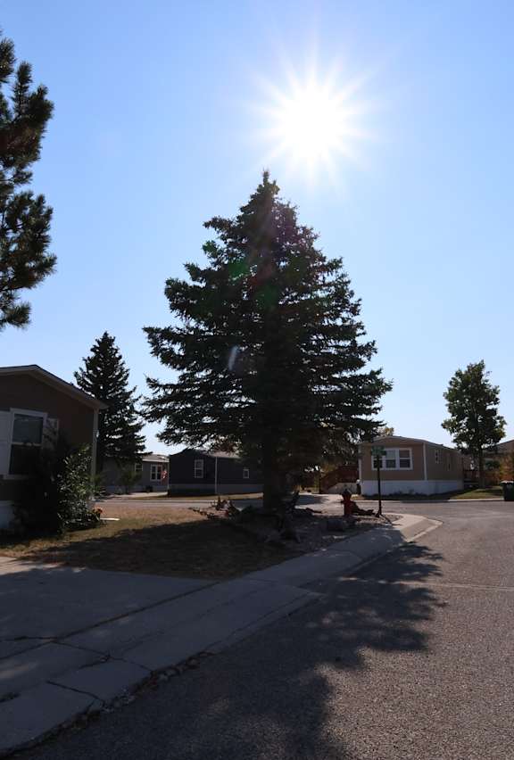 the sun shining over a street in a neighborhood with houses at Kimberly Village, Cheyenne, Wyoming