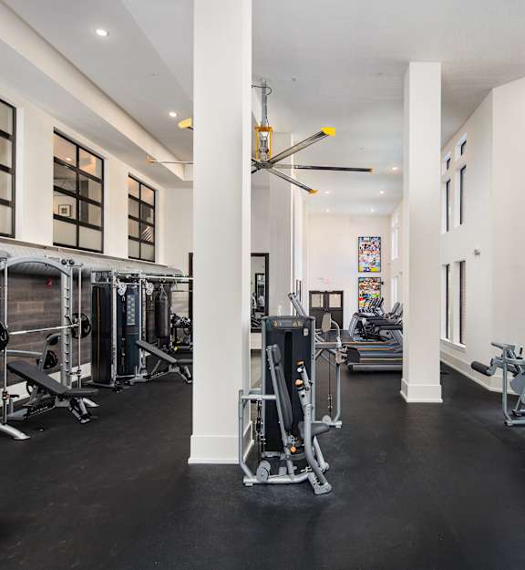 A spacious gym with a variety of equipment.