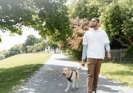 A man walking a dog on a paved path in a park.