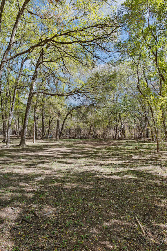 A person is riding a bicycle in a wooded area.