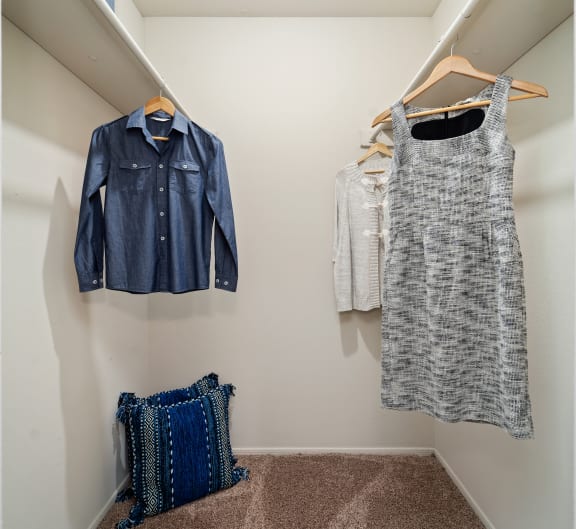 Walk in Closet at Rise at Signal Mountain, Chattanooga, TN, 37405