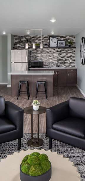 Two black leather chairs are placed in a room with a green plant on the table between them.