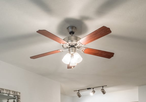 Ceiling Fan and light at Rivertree Apartments, Riverview, 33578