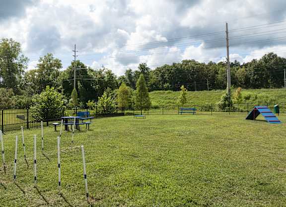 A grassy field with a blue tent and a picnic table.