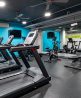 a group of treadmills and other exercise equipment in a gym