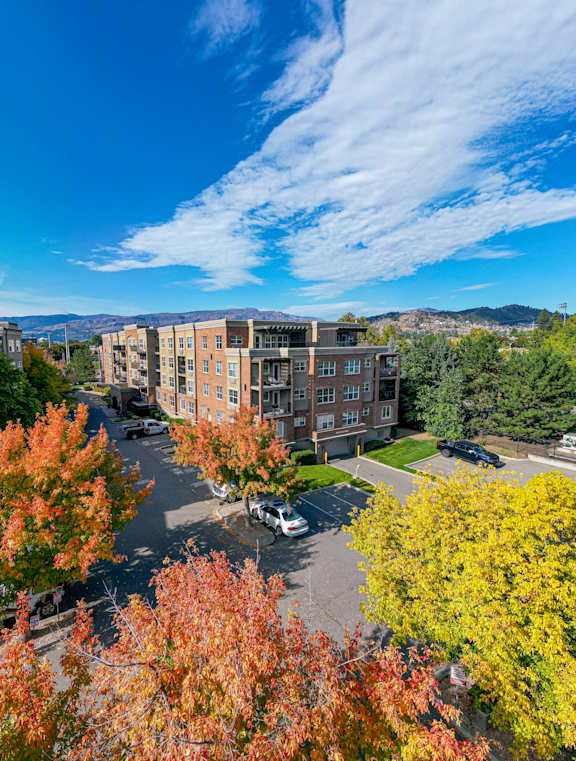 A view of a courtyard surrounded by buildings with trees in autumn colors.