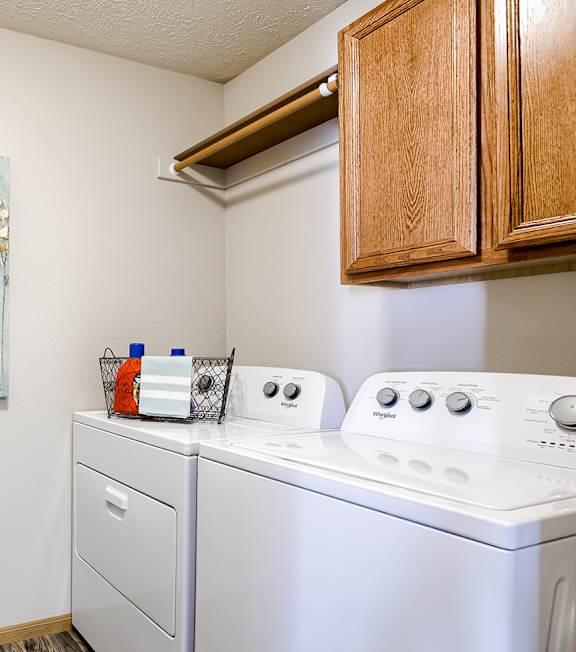 A laundry room with a washer and dryer, a potted plant, and a painting on the wall.