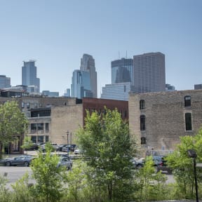 the city skyline with trees in the foreground