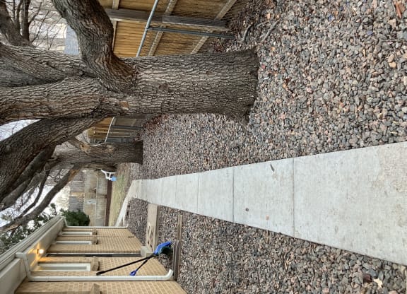 a tree in the middle of a building with stairs