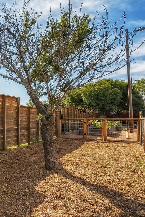 a wooden fence with a tree in front of it
